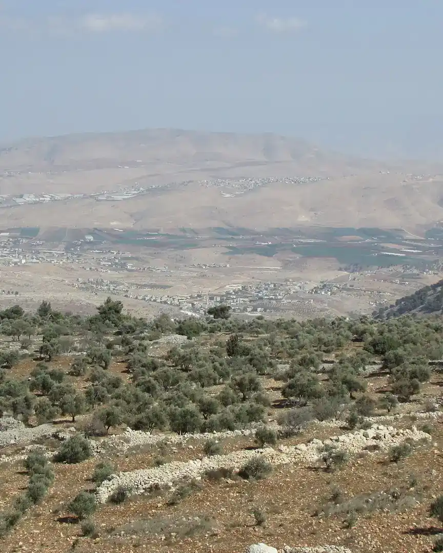 Foto: Colinas de Samaria · Palestina
