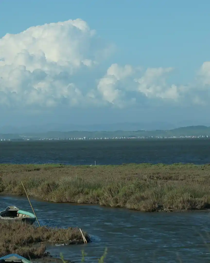 Foto: Laguna de Karavasta · Albania