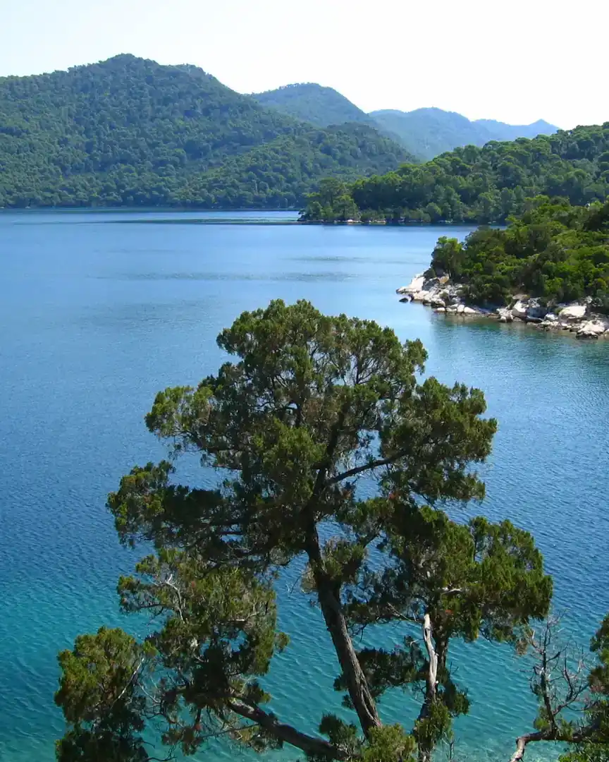 Foto: Mljet · Croacia