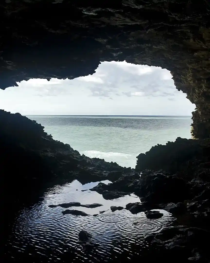 Foto: Cueva Animal Flower · Barbados