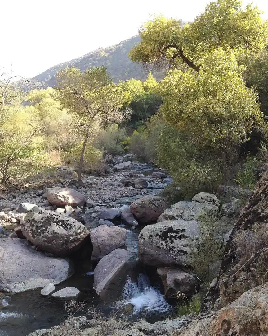 Foto: Parque nacional de Chatkal · Uzbekistán
