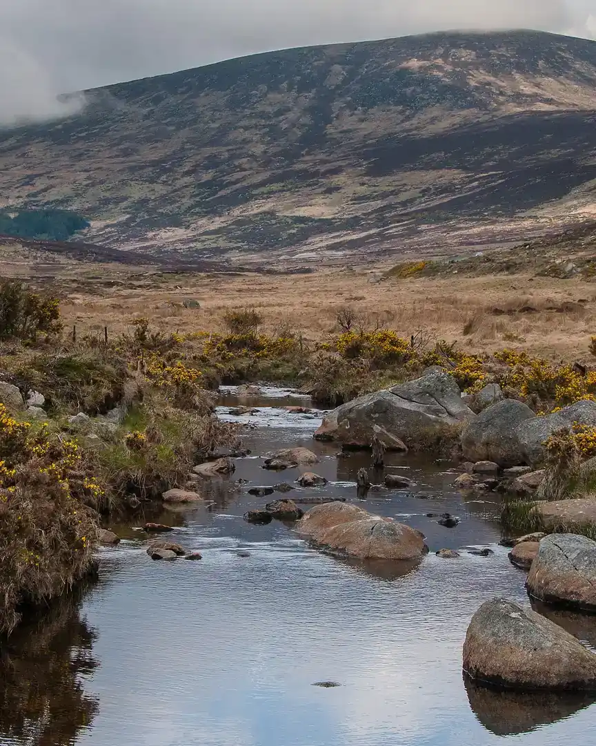 Foto: Montes Wicklow · Irlanda