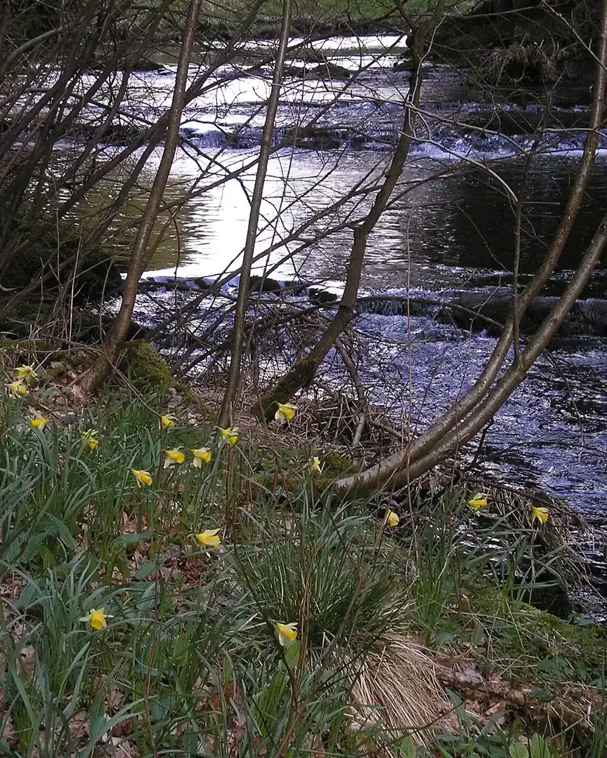 Foto: Warche · België