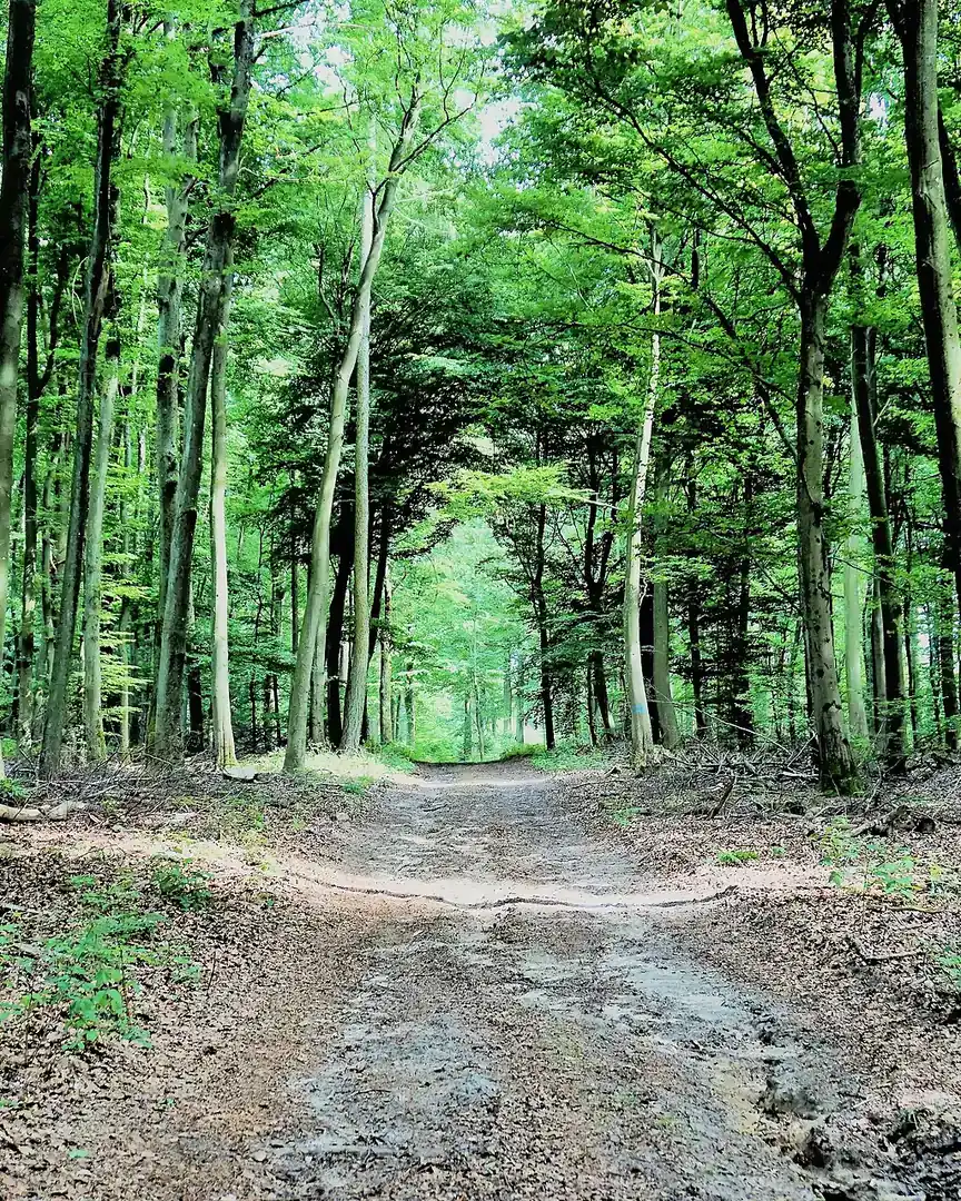 Foto: Grünewald · Luxemburgo