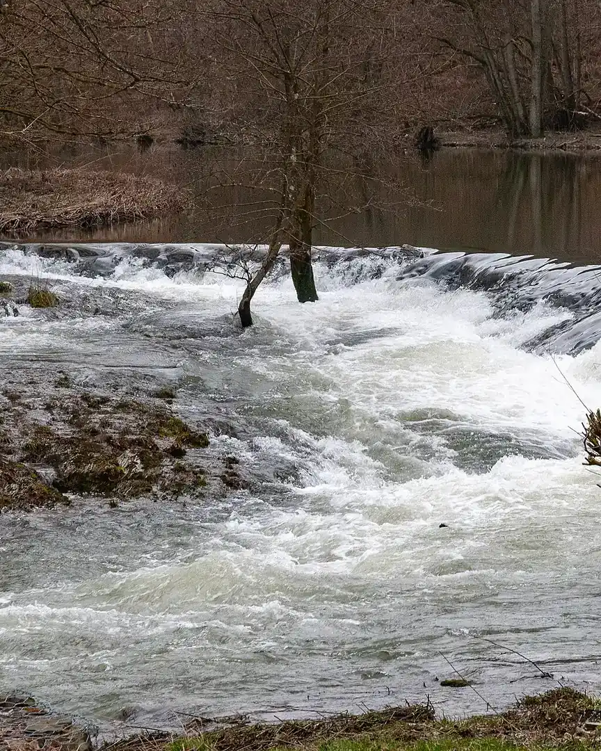Foto: Parque natural del Sûre Superior · Luxemburgo