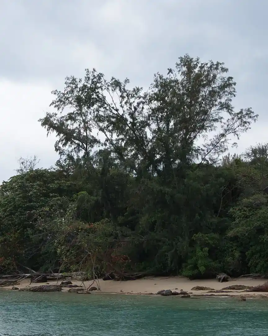 Foto: Pulau Seringat · Singapur