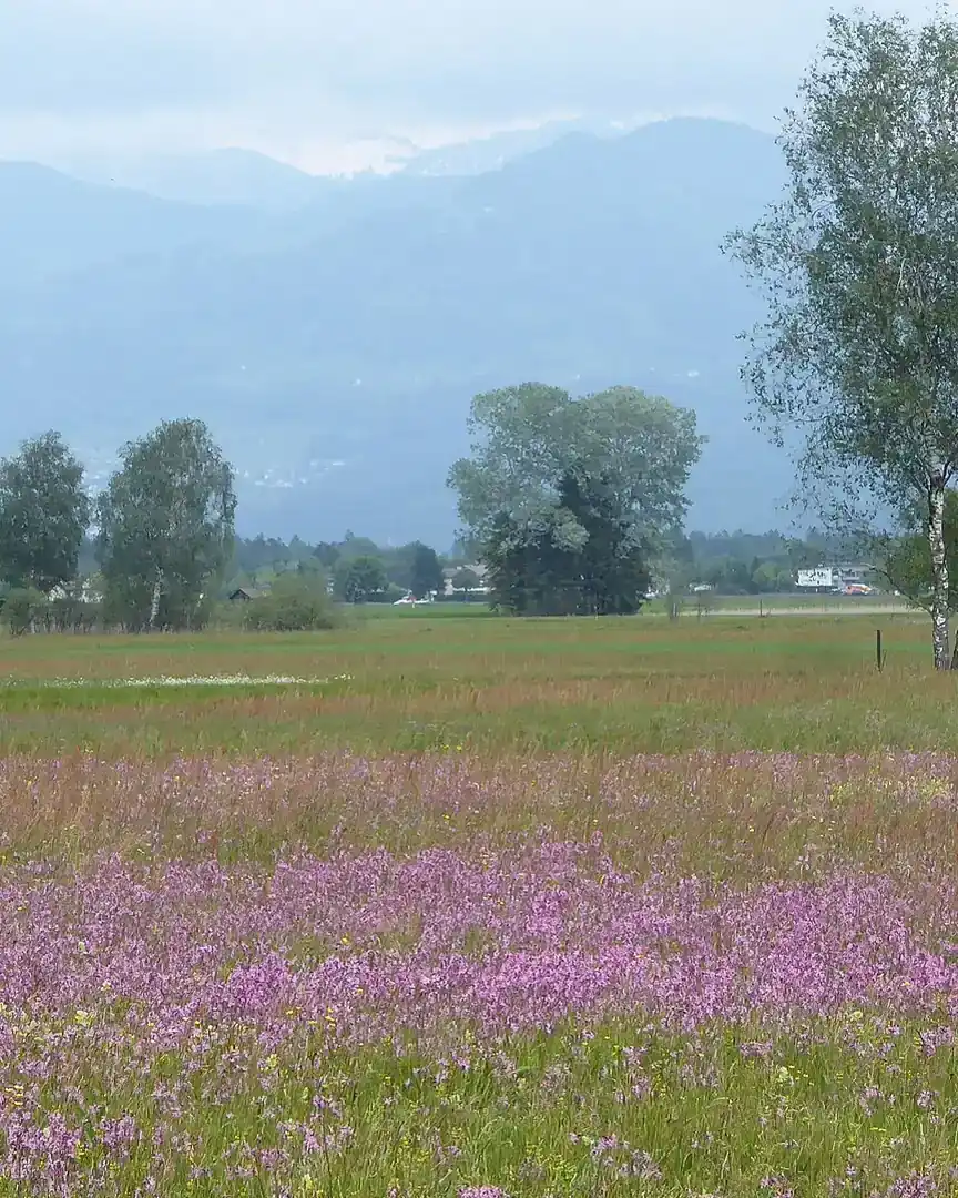Foto: Ruggeller Riet · Liechtenstein