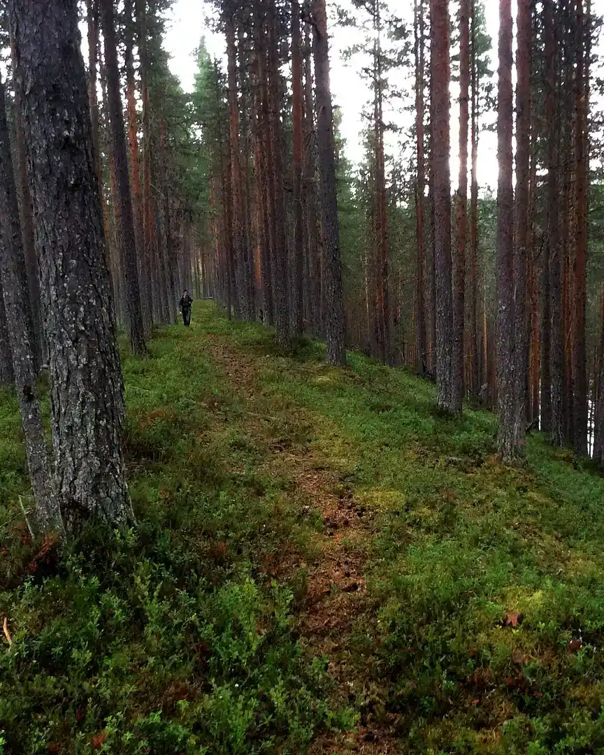 Foto: Reserva natural de Vändåtberget · Suecia
