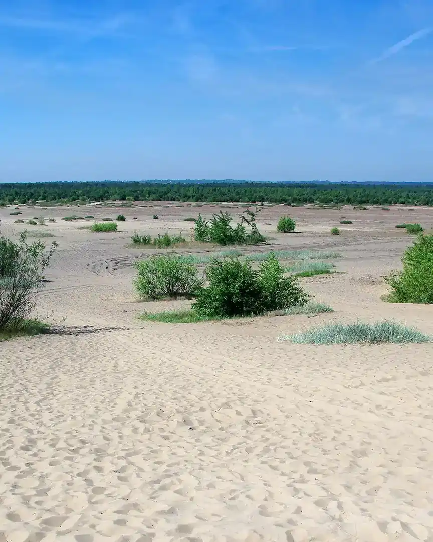 Foto: Desierto de Błędów · Polonia