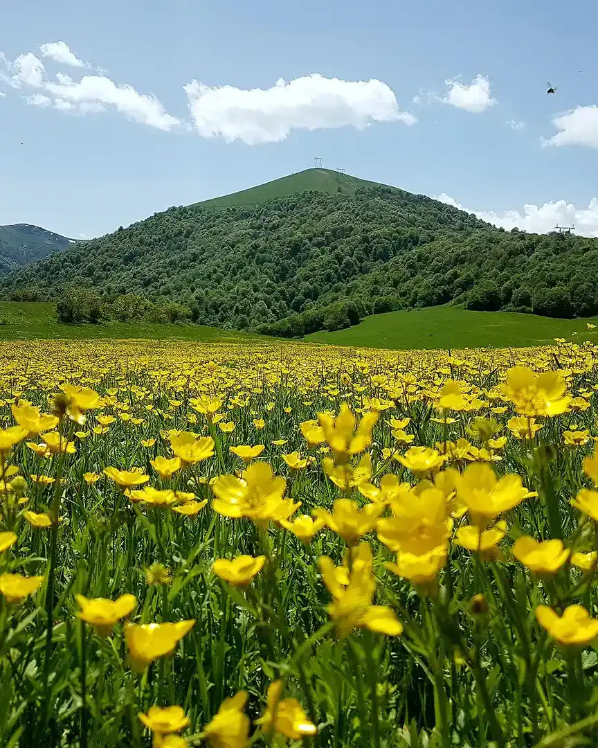 Foto: Nationaal park Dilijan · Armenië