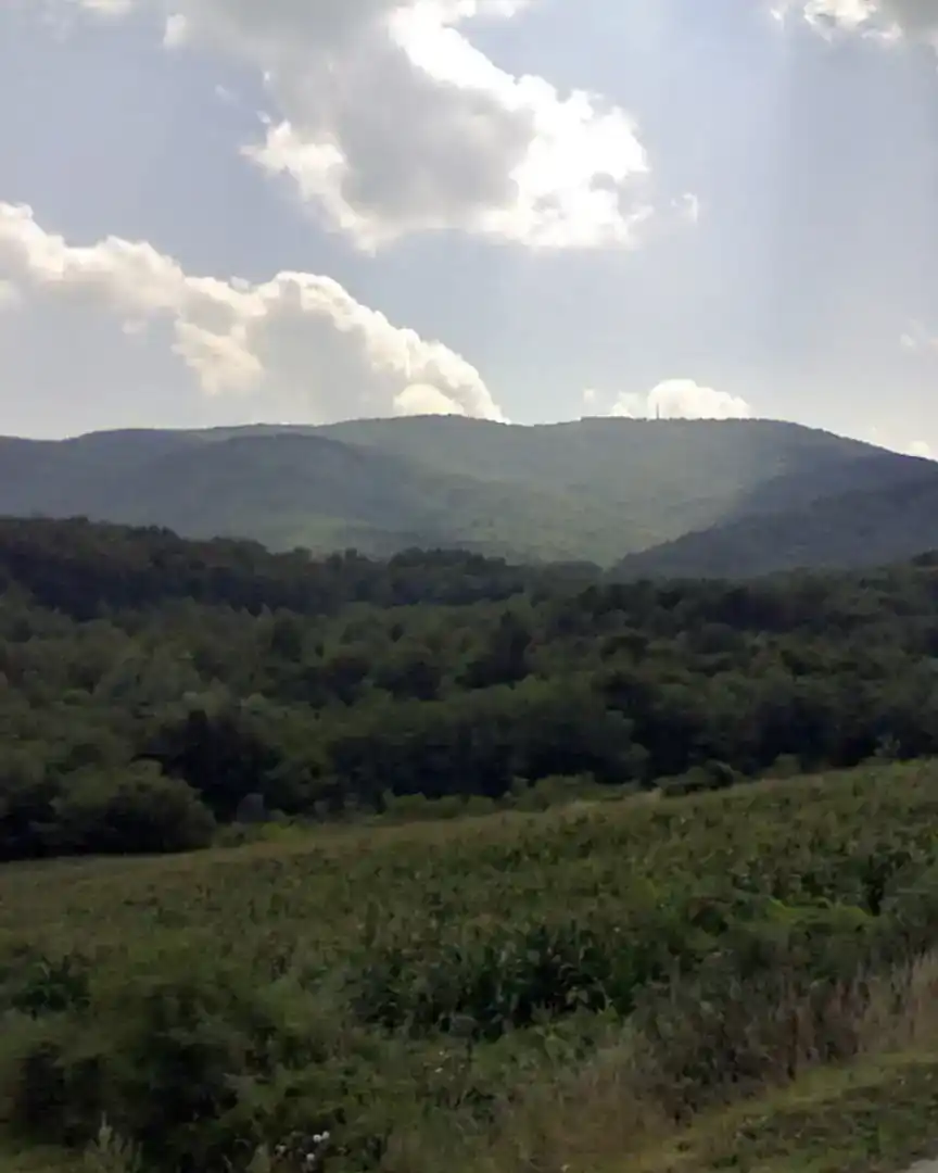 Foto: Montes Cer · Serbia
