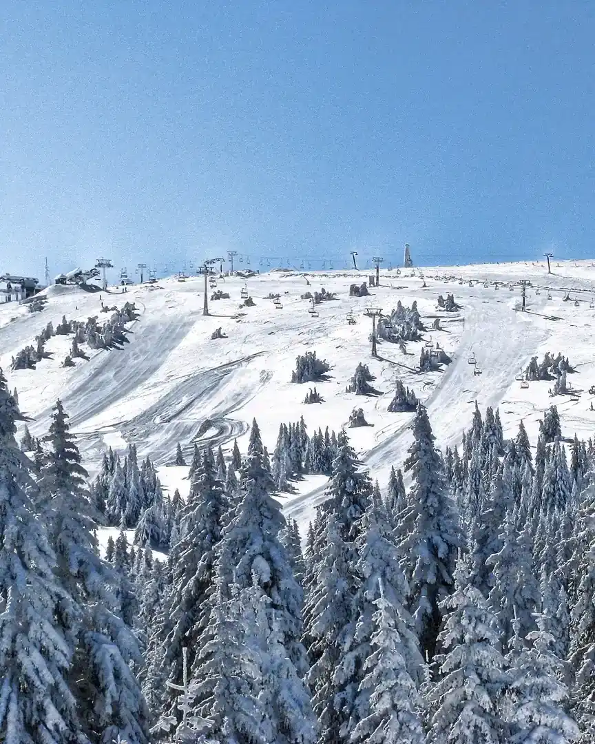 Foto: Pico Pančić · Serbia