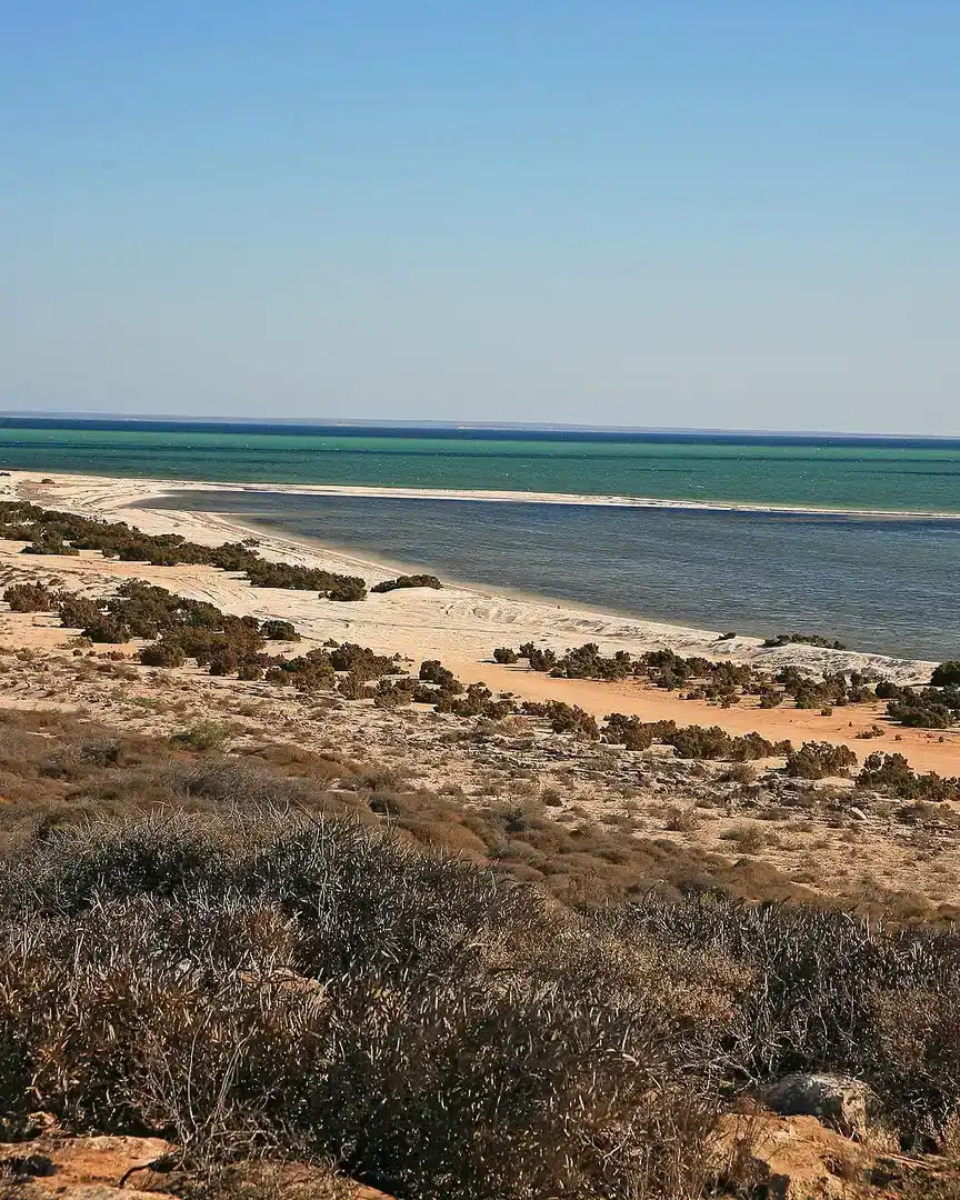 Foto: Bahía Shark · Australia