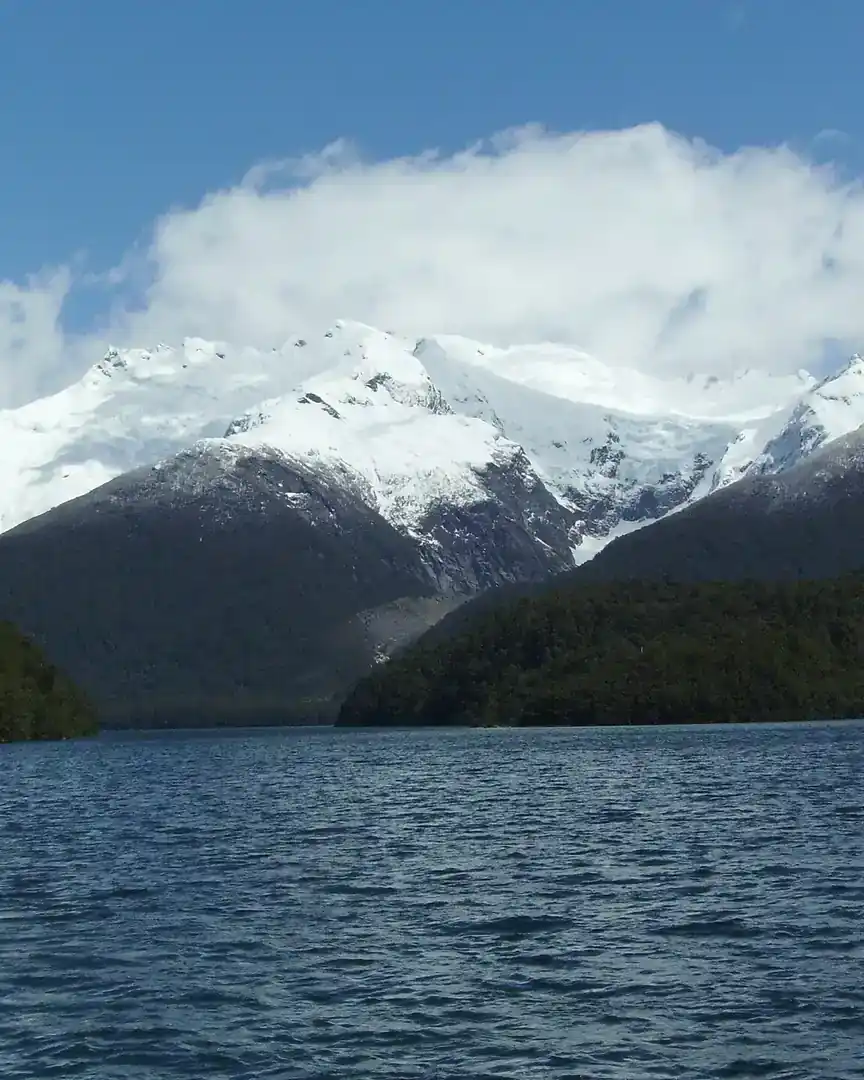 Foto: Parque nacional Los Alerces · Argentina