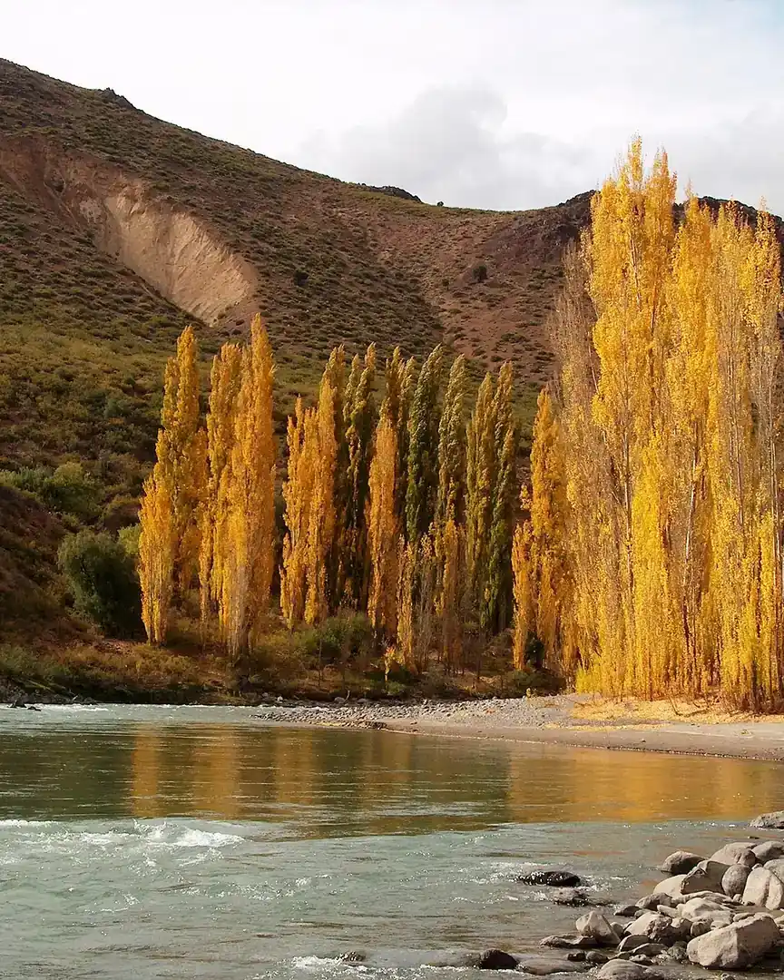 Foto: Neuquén · Argentina