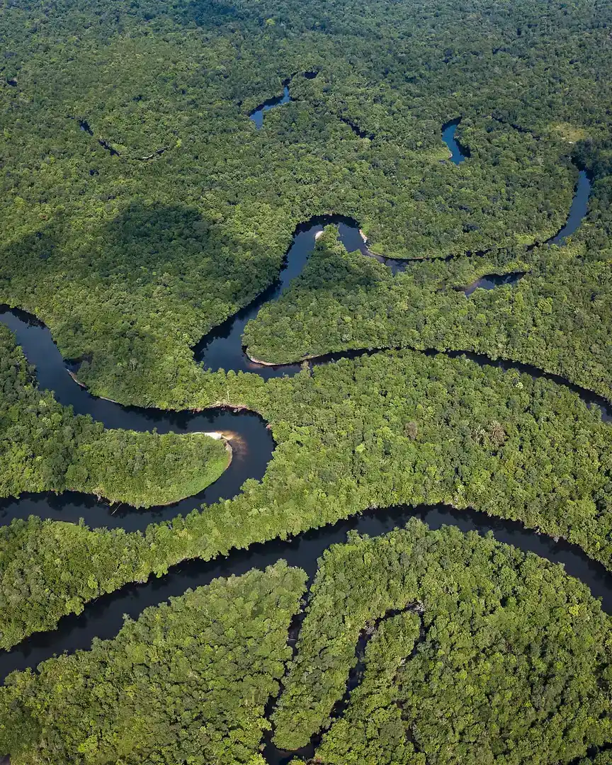Photo : Parc national des Cardamomes du Sud · Cambodge