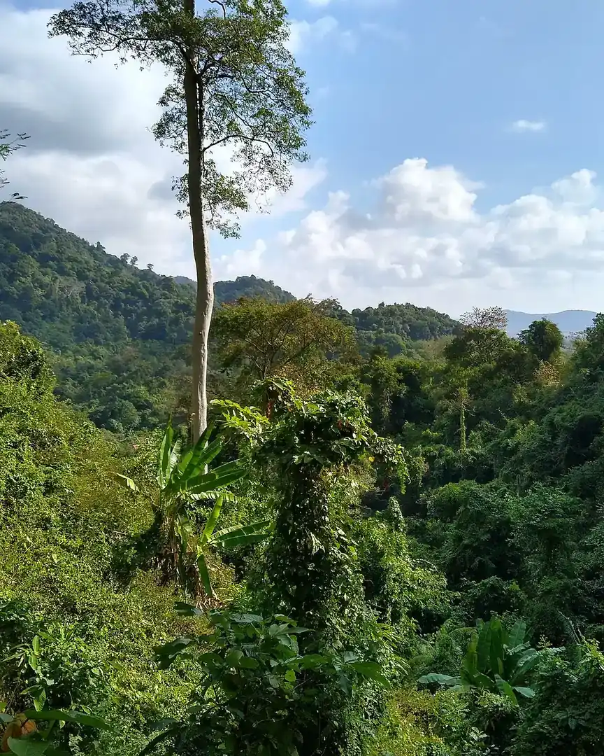 Photo: Kep National Park · Cambodia