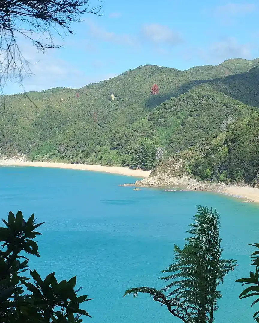 Foto: Parque Nacional Abel Tasman · Nueva Zelanda