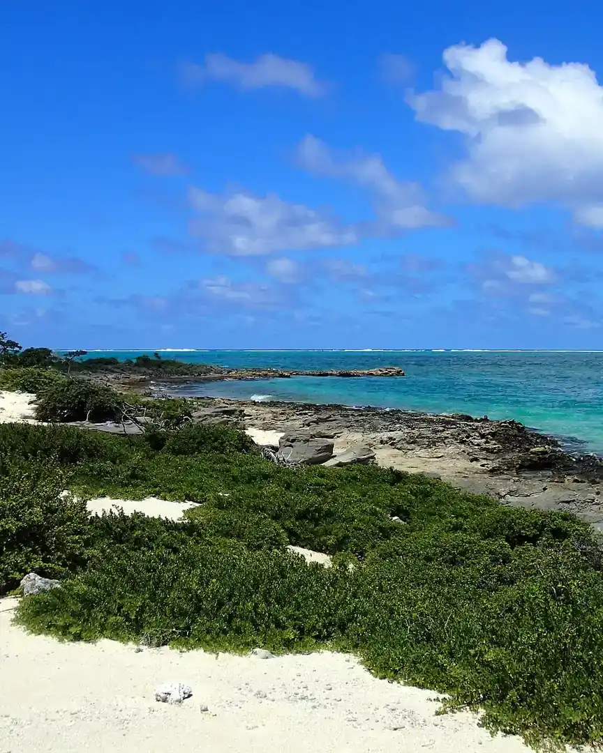 Foto: Nukunamo · Tonga