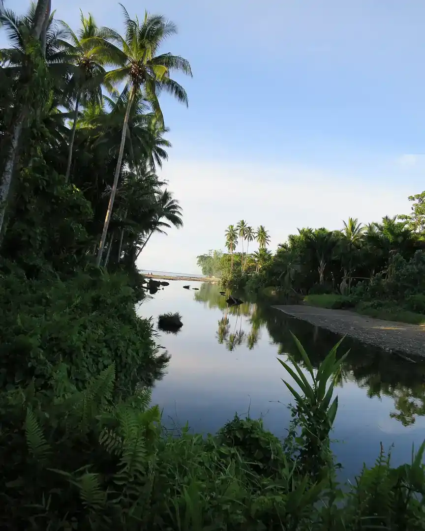 Foto: Selva de las Islas Salomón · Islas Salomón