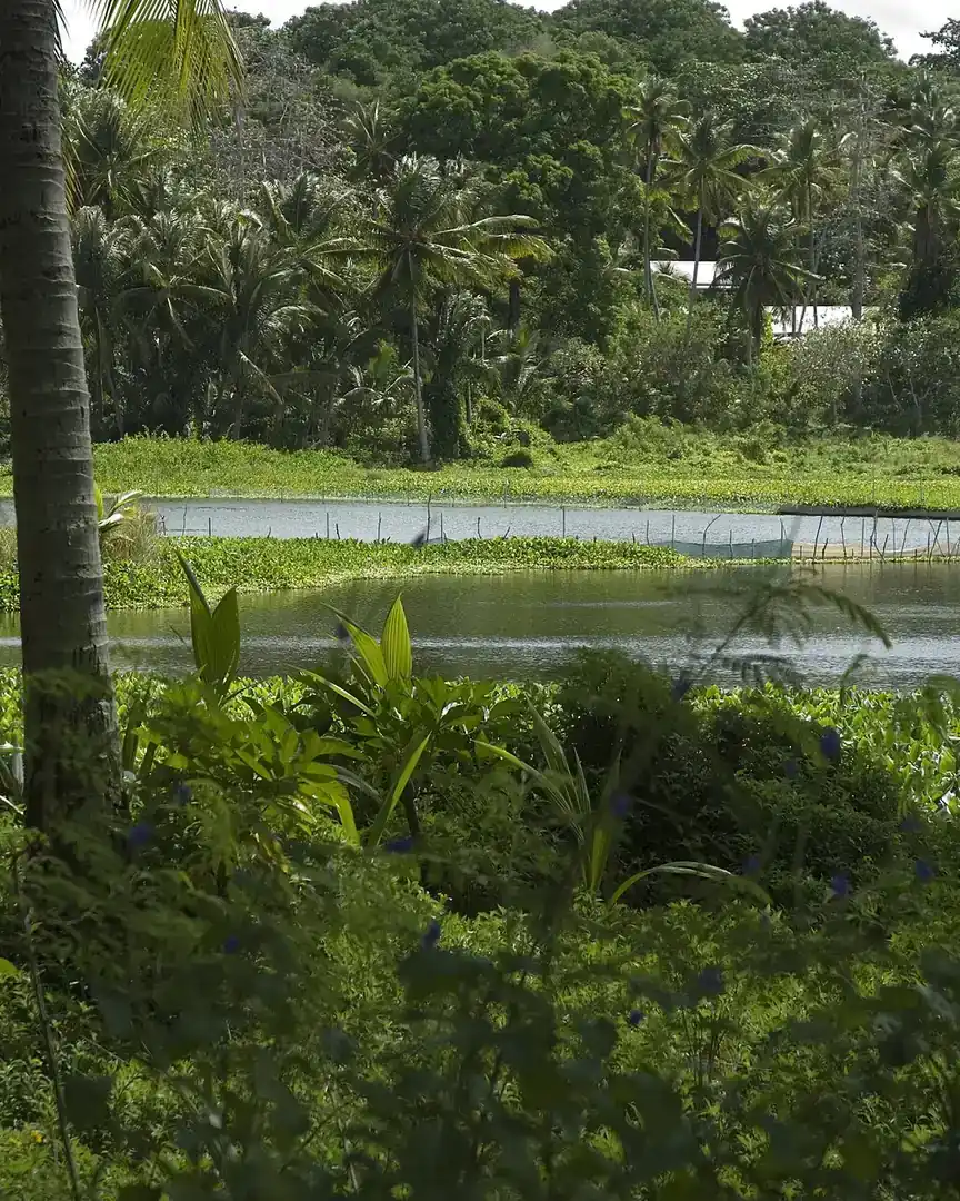 Foto: Laguna de Buada · Nauru