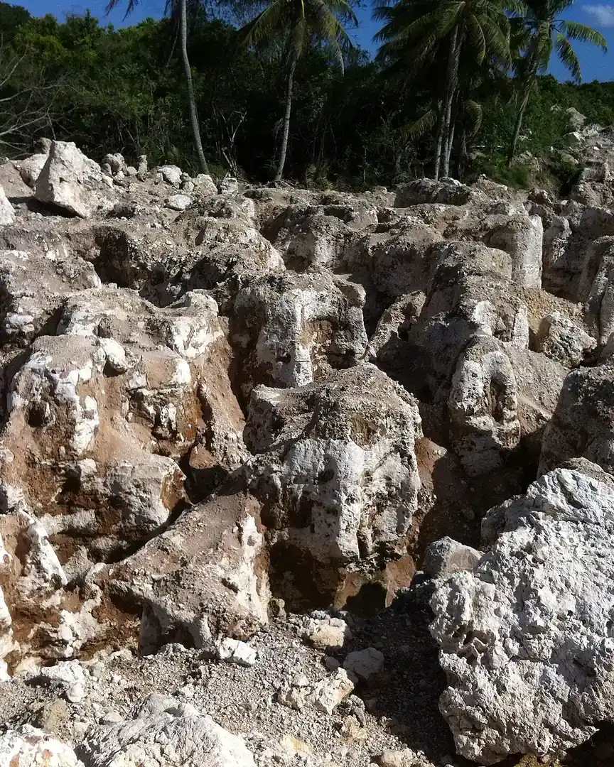 Foto: Meseta de Topside · Nauru