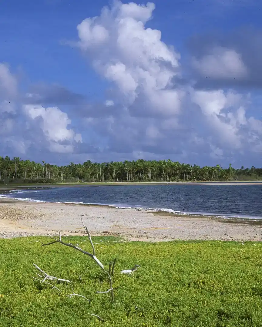 Foto: Isla Manra · Kiribati