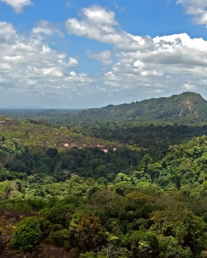 Foto: Reserva Natural de Surinam Central · Surinam