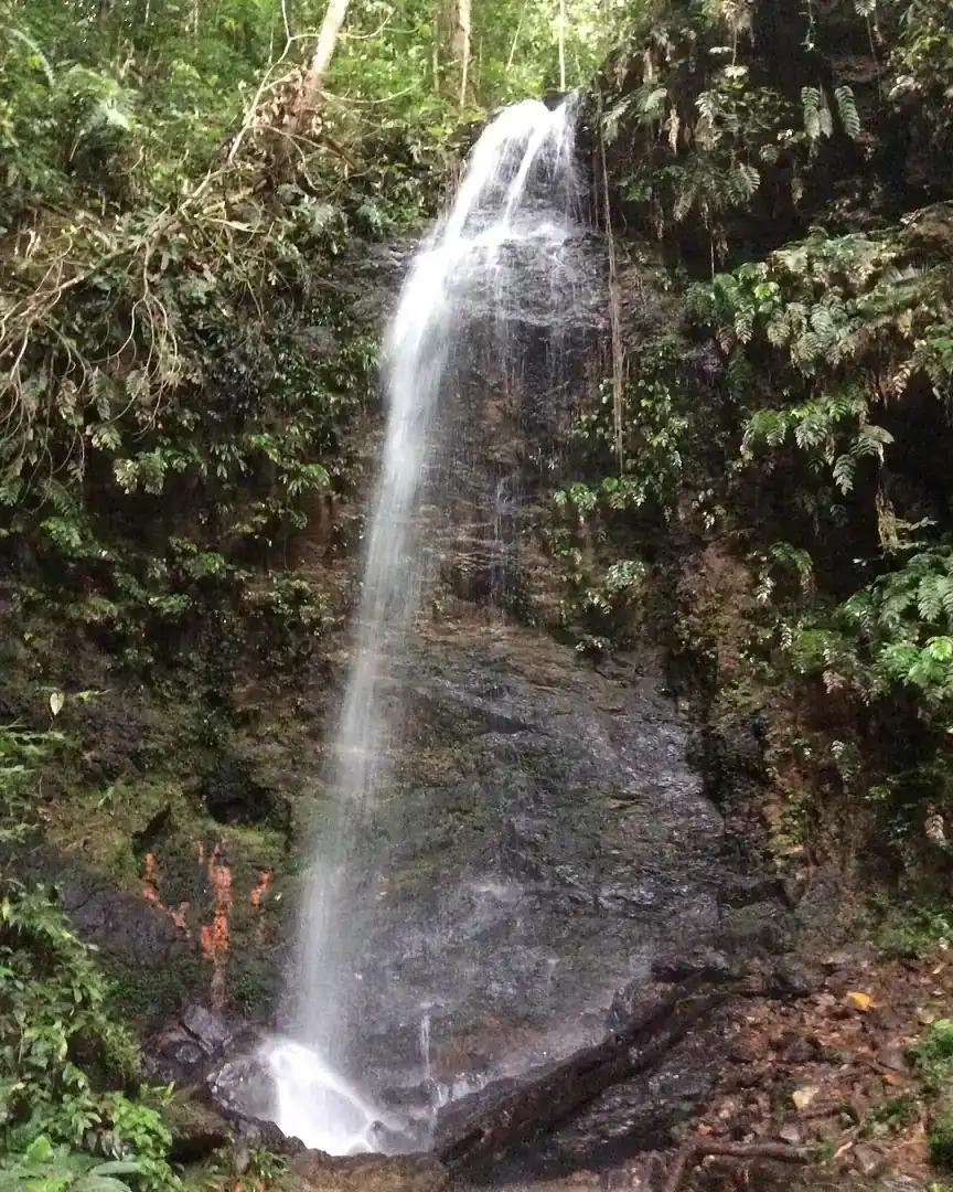 Foto: Parque natural Brownsberg · Surinam