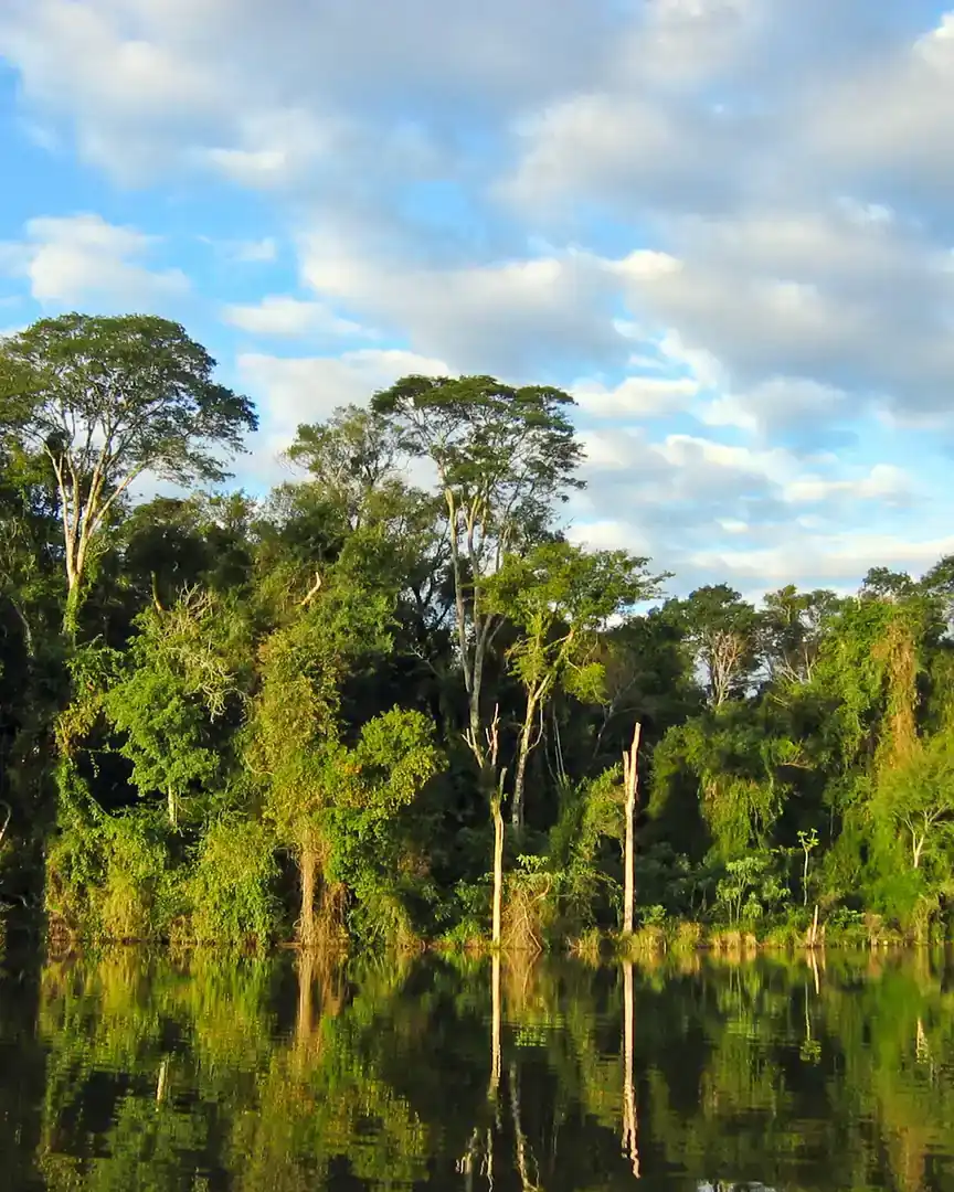 Foto: Reserva natural del Bosque Mbaracayú · Paraguay