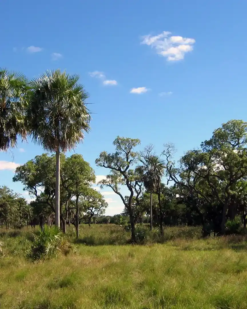 Foto: Parque Nacional Defensores del Chaco · Paraguay
