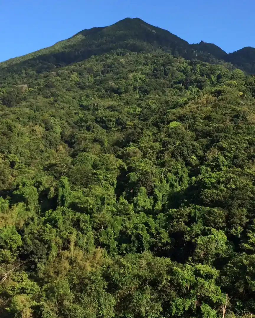 Foto: Colinas de San Cristóbal · San Cristóbal y Nieves