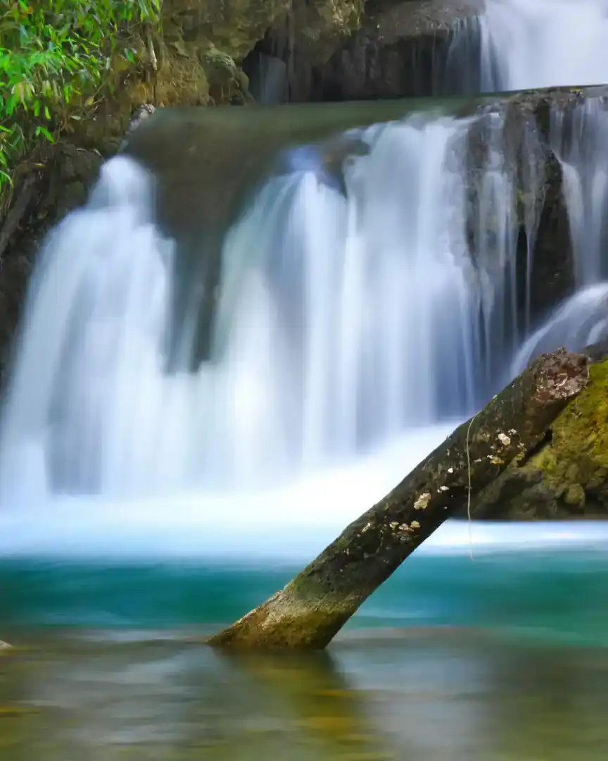 Foto: Río Y.S. · Jamaica