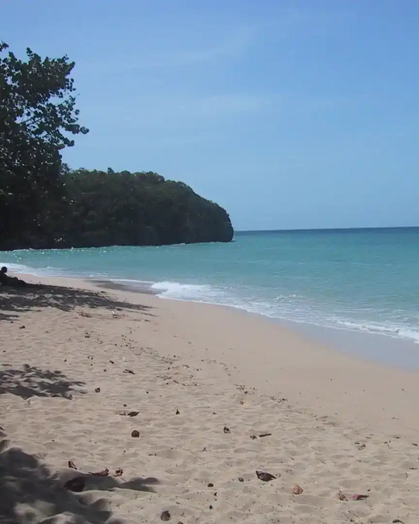 Ảnh: Bãi biển Reggae · Jamaica