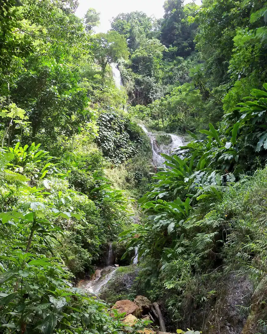 Foto: Cascada de Tufton Hall · Granada