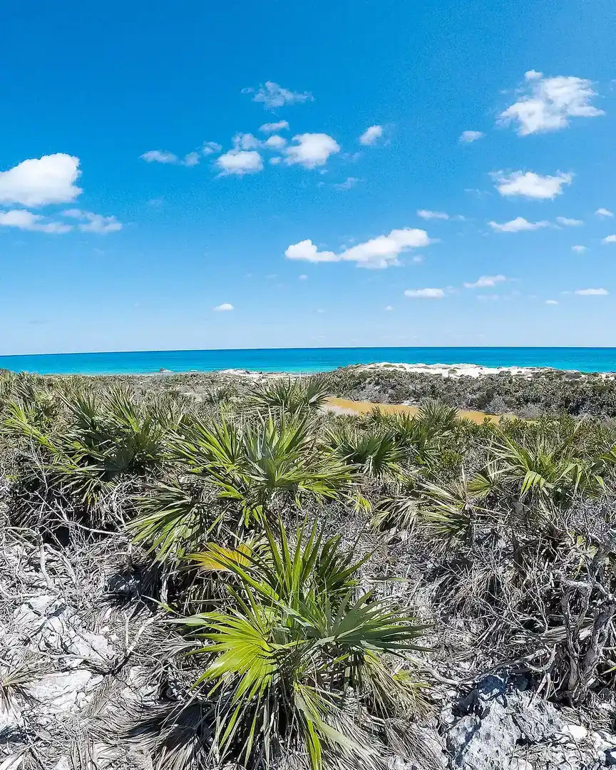 Foto: Parque terrestre y marino de los Cayos de Exuma · Bahamas