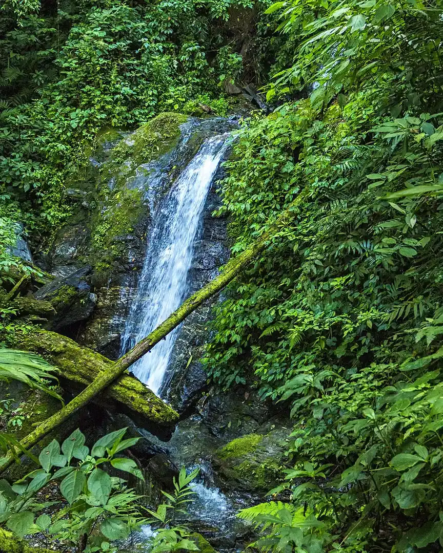 Foto: Parque nacional Montaña de Comayagua · Honduras