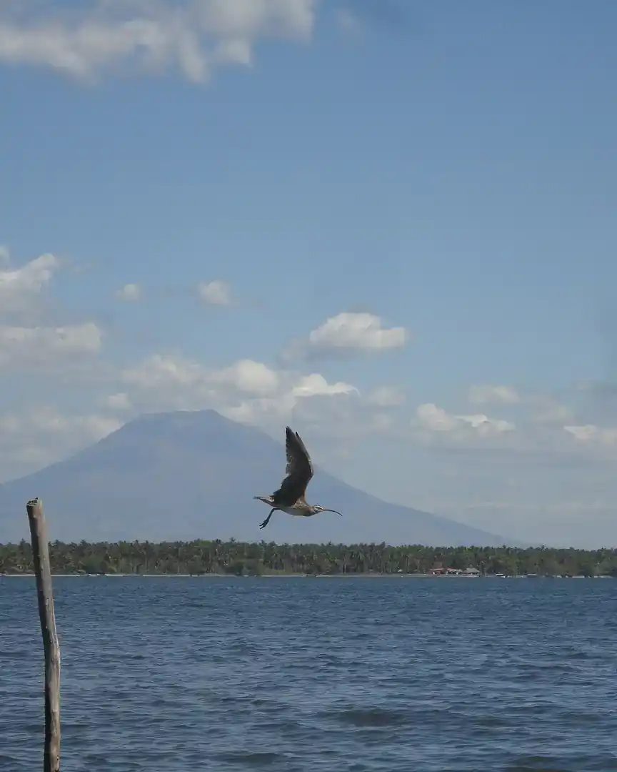 Foto: Bahía de Jiquilisco · El Salvador
