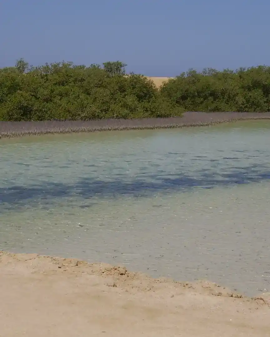Foto: Parque nacional Ras Muhammad · Egipto