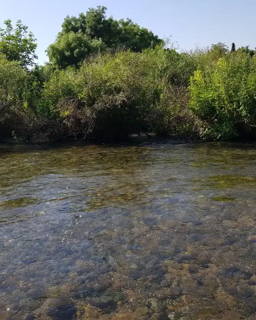 Foto: Fluss Dan · Israel