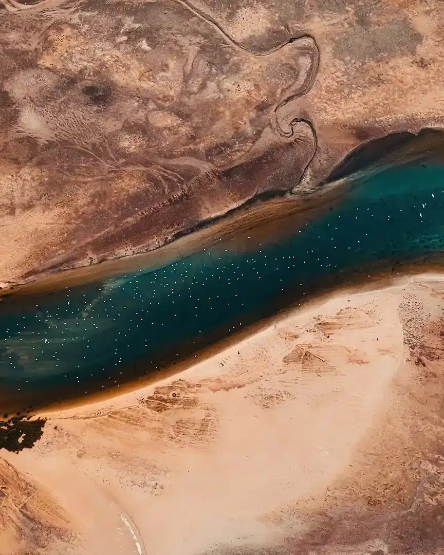 Photo : Réserve naturelle d'Al-Jahra · Koweït