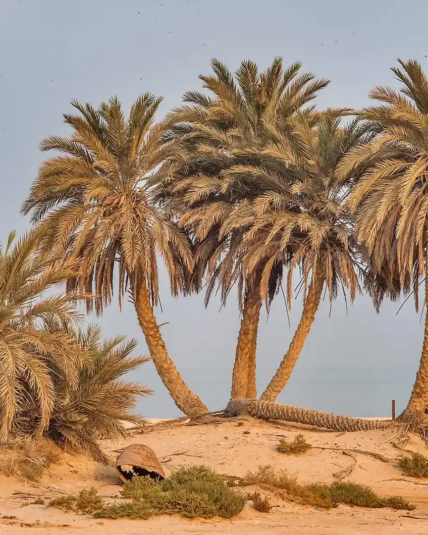 Foto: Playa de Umm Bab · Catar