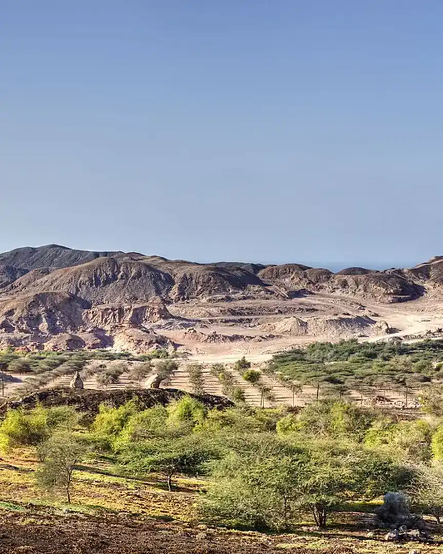 Foto: Sir Bani Yas · Emiratos Árabes Unidos