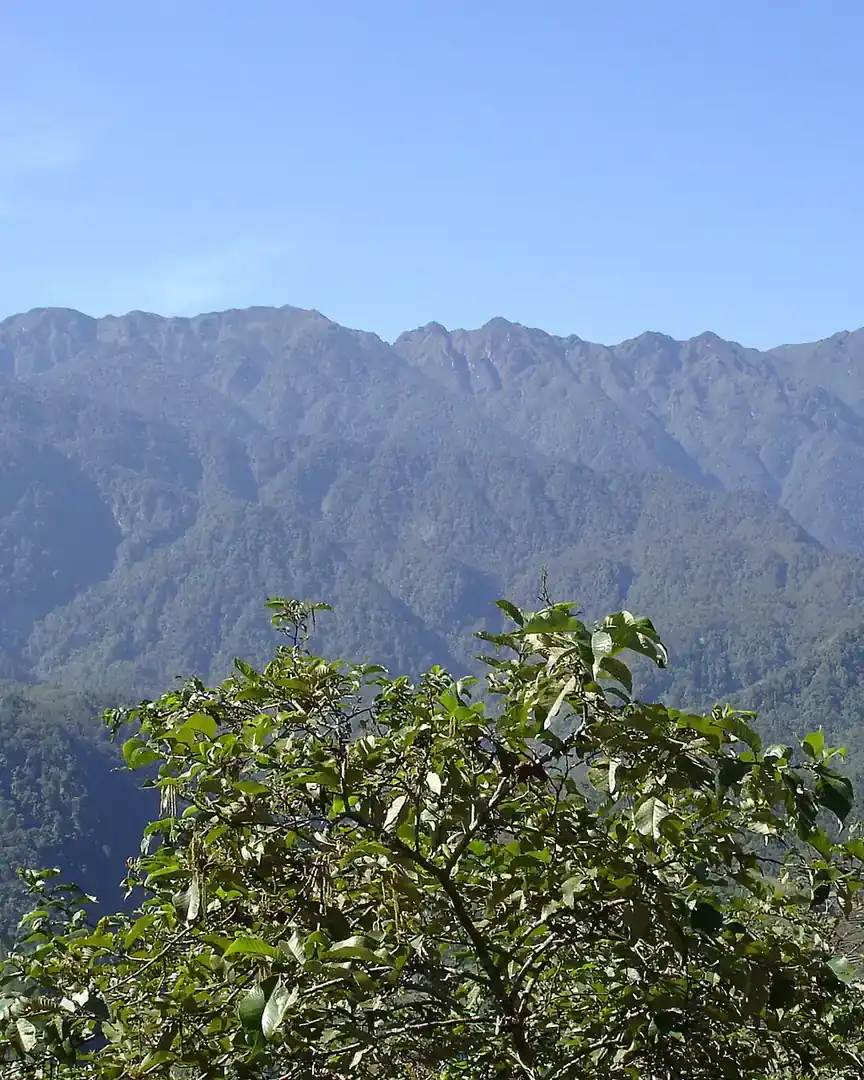 Photo : Parc national de Hoàng Liên · Viêt Nam