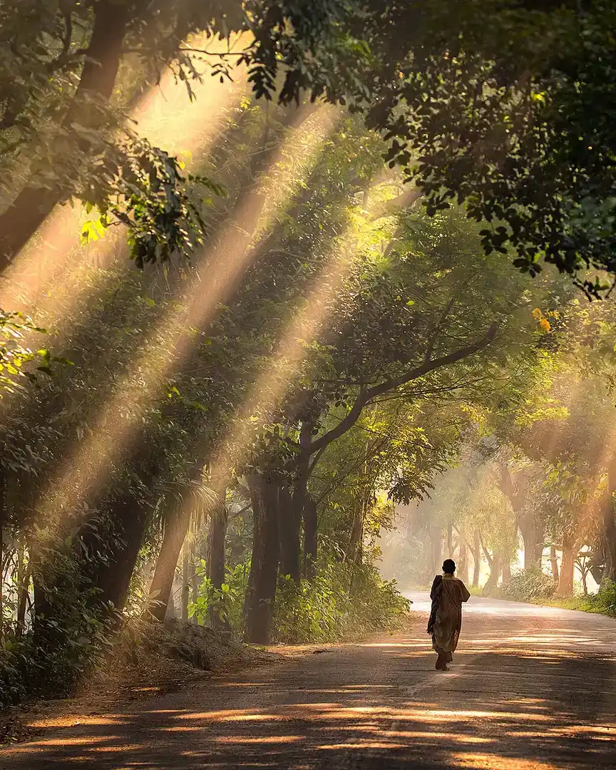 Photo : Parc national de Satchari · Bangladesh