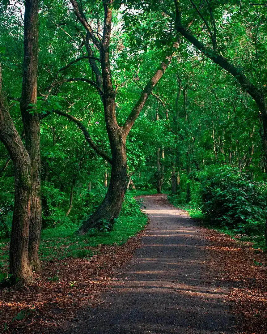 Foto: Parque nacional Bhawal · Bangladés