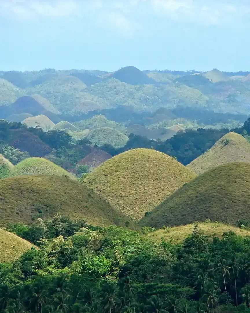 Photo : Collines de Chocolat · Philippines