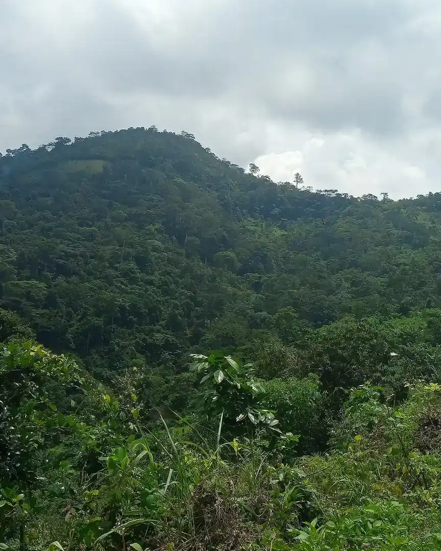 Foto: Monte Kloto · Togo