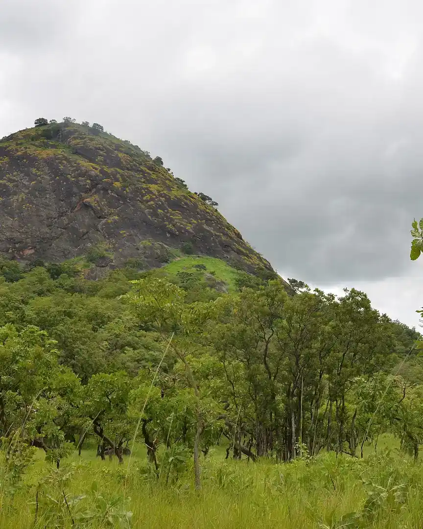Foto: Parque nacional de Fazao Malfakassa · Togo