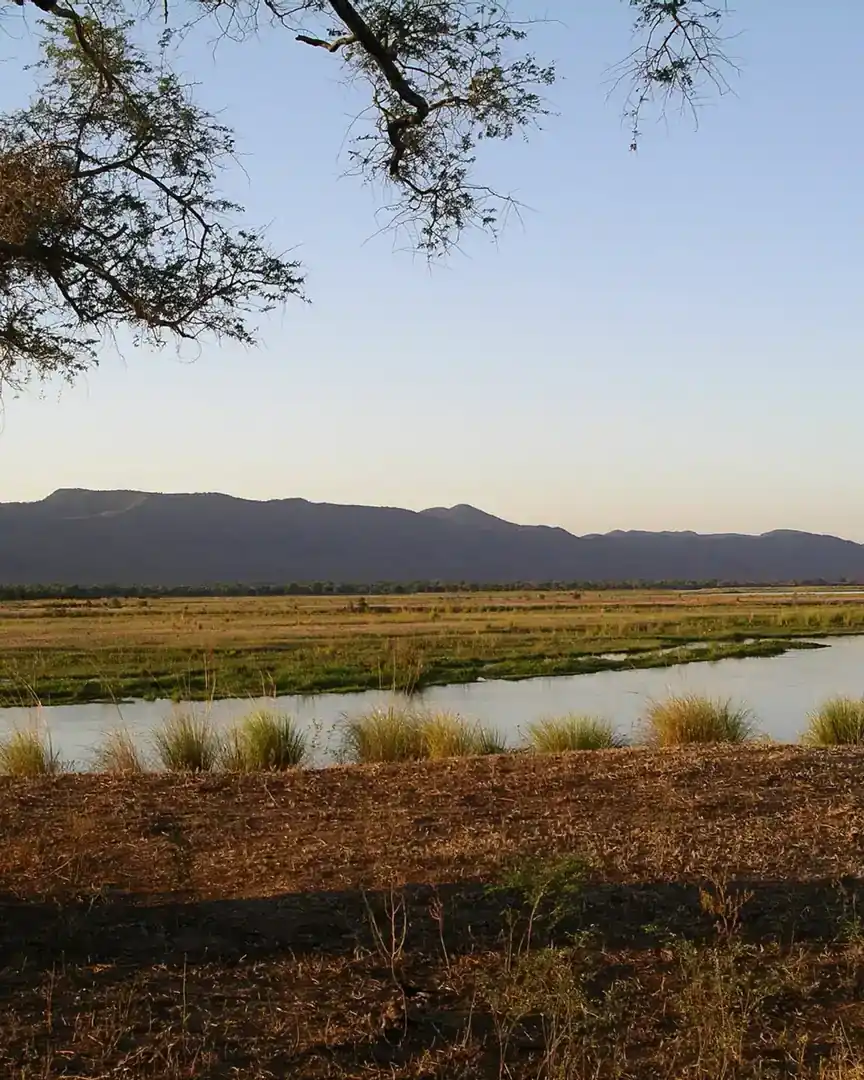 Foto: Parque nacional Mana Pools · Zimbabue
